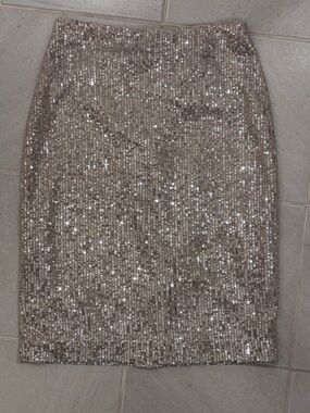 LOFT Sequined Champagne Skirt